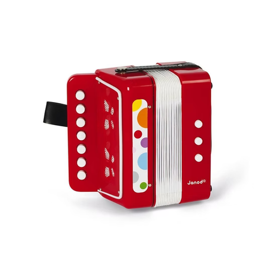Personalised Accordion | Music Instrument | Pretend Play