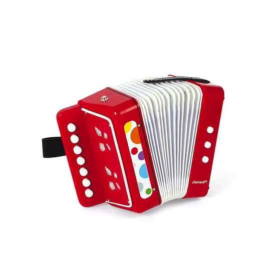 Personalised Accordion | Music Instrument | Pretend Play