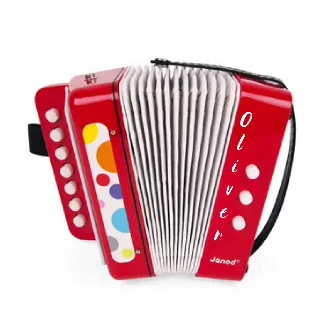 Personalised Accordion | Music Instrument | Pretend Play