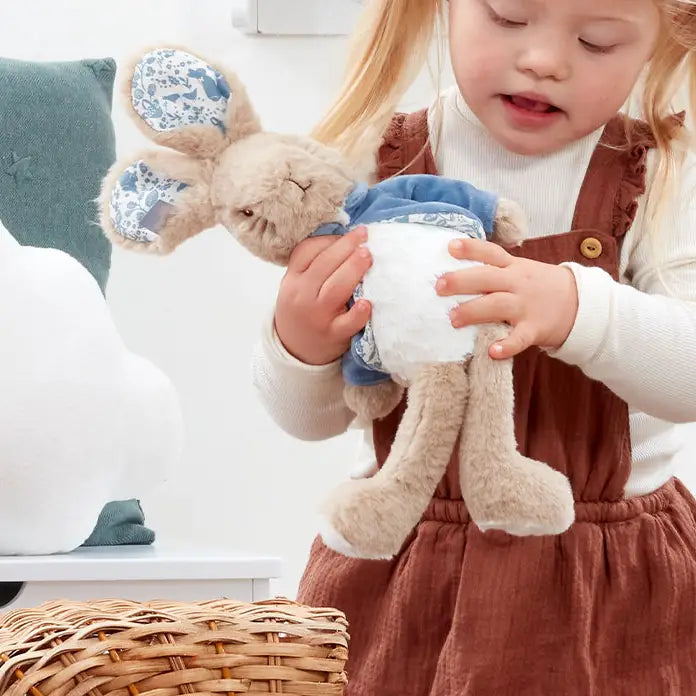 Personalised Plush Soft Toy – Peter Rabbit Signature Friends Peter Rabbit